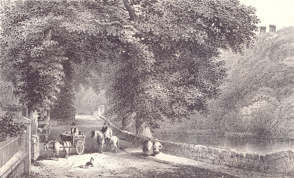 ISLE OF WIGHT. Bonchurch Pond. Horse & cart. Horses. 1864 old antique print